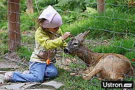 LEŚNY PARK NIESPODZIANEK 